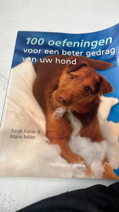 100 oefeningen voor een beter gedrag van uw hond, Boeken, Dieren en Huisdieren, Zo goed als nieuw, Ophalen of Verzenden