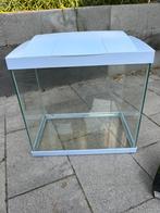 Aqarium superfish start30, Dieren en Toebehoren, Vissen | Aquaria en Toebehoren, Ophalen, Gebruikt, Leeg aquarium