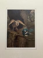 Arthur Charles Dodd 1887 vechtende vogels, Antiek en Kunst, Kunst | Schilderijen | Klassiek, Ophalen of Verzenden