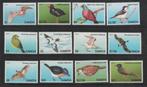 D72 Samoa 1105/16 postfris Vogels, Verzenden, Postfris, Dier of Natuur