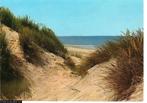 Ansichtkaart	Noordzeestrand	Duinen, strand en zee, Verzenden, 1960 tot 1980, Gelopen, Zeeland