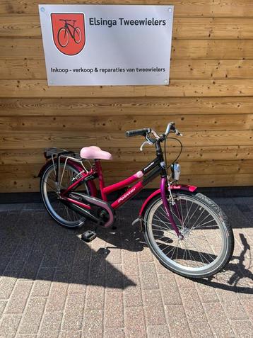 nieuwe Pointer panda 22 inch beschikbaar voor biedingen