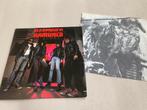 The Ramones, Ophalen of Verzenden, Zo goed als nieuw, 12 inch