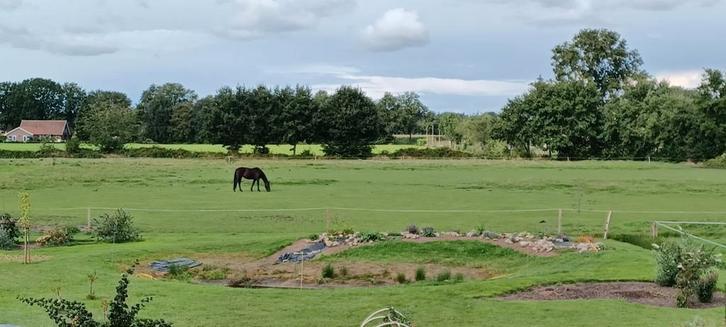 Stalling voor paard met onbeperkte weidegang, Dieren en Toebehoren, Stalling en Weidegang, Stalling, Weidegang