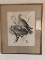 De duif van Sepp & Nozeman, Ophalen