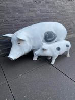 Set polyester varkens levensecht XL, Ophalen, Gebruikt, Beton, Dierenbeeld