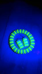 Hippe Uranium armband met oorbellen, Ophalen of Verzenden