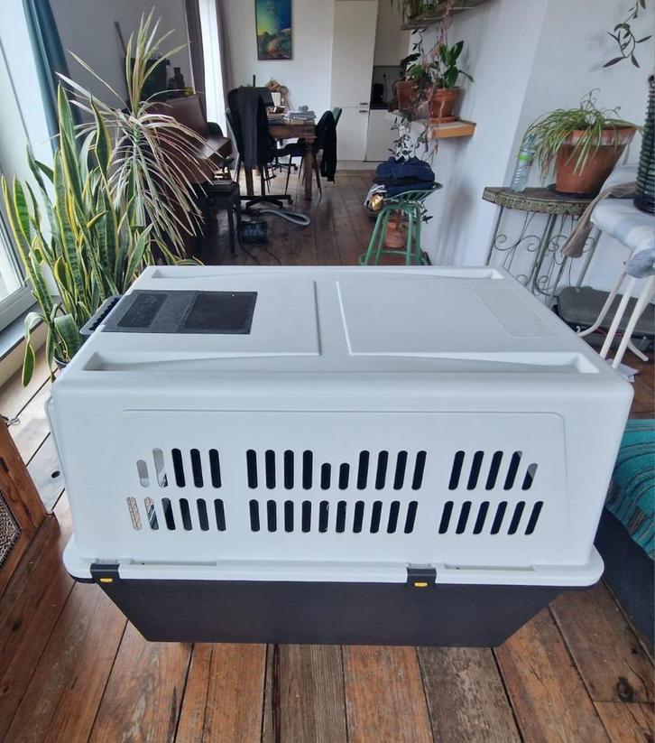 Transportbox, Dieren en Toebehoren, Transportboxen, Zo goed als nieuw, Ophalen of Verzenden