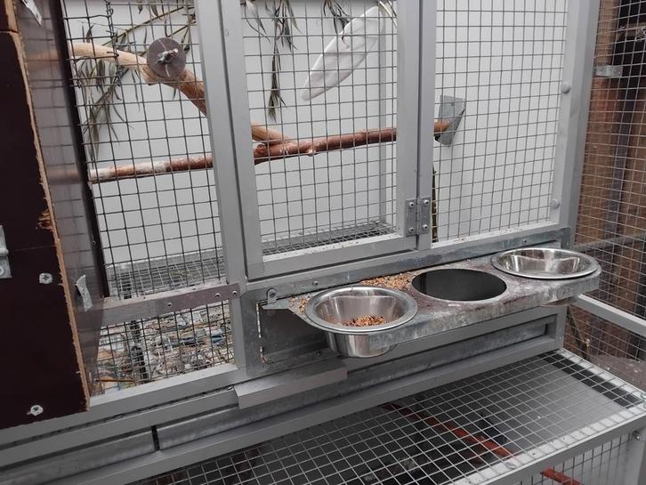 Broedkooien, Dieren en Toebehoren, Vogels | Hokken en Kooien, Zo goed als nieuw, Broedkooi of Kweekkooi, Hout, Ophalen