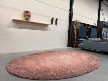 Nieuw Carpet Sign Vloerkleed Ovaal Design Tapijt 250x380 beschikbaar voor biedingen