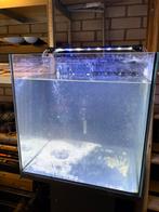 Te koop aquarium., Dieren en Toebehoren, Ophalen, Zo goed als nieuw, Leeg aquarium