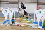 7jr ruin, 1.48m voor sport en/of recreatie, Dieren en Toebehoren, Pony's, B, Gechipt, Ruin, Springpony