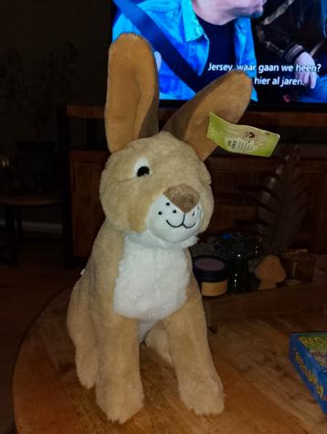 Schattig Knuffel Konijn - Kobe Konijn beschikbaar voor biedingen