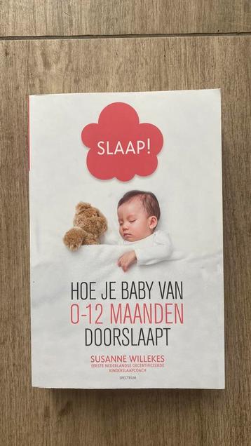 Susanne Willekes - Slaap! beschikbaar voor biedingen
