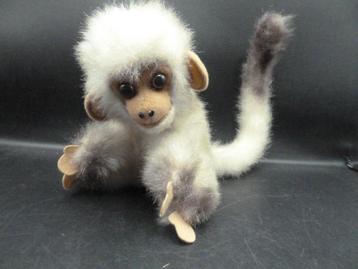 Zachte aap Kamar beschikbaar voor biedingen