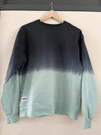Sweater Niran Raizzed dip-dye pistachegroen/zwart, Ophalen, Raizzed, Jongen, Trui of Vest