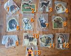 Grote partij hondenras stickers, Nieuw, Ophalen of Verzenden, Meerdere stickers