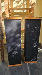 The Pillar - Duo Vintage luidsprekers, Ophalen of Verzenden, Zo goed als nieuw, Speakers, Akai