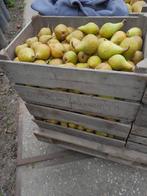 Gieser wildeman, Ophalen