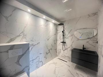 Badkamer toilet Renovatie , tegelzetter jarenlange Ervaring  beschikbaar voor biedingen