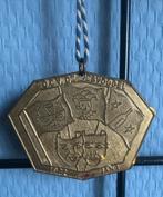 Carnavalsmedaille Oldenzaal uit 1972 van O.C.V. De Lesvöggel, Ophalen of Verzenden