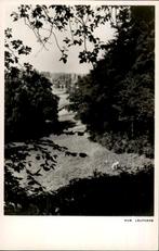 Elsloo, kijkje in het park, Hub Leufkens, Verzamelen, Verzenden, 1940 tot 1960, Ongelopen, Limburg