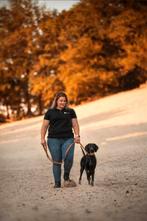 1 Duitse staande korthaar pup met gratis opvoedingsadvies ☆, Dieren en Toebehoren, Honden | Setters en Staande honden, Duitse Staande hond