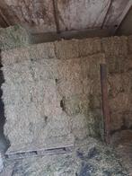 Hooi te koop, Dieren en Toebehoren, Ophalen of Verzenden, Vee