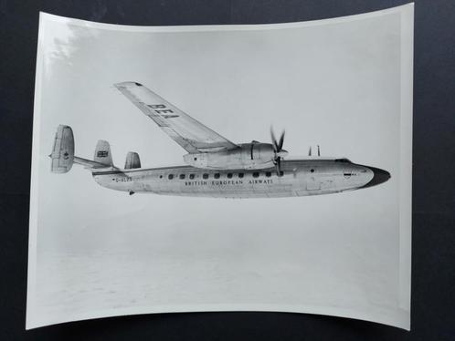 Foto van een BEA Airspeed Ambassador (F798), Verzamelen, Luchtvaart en Vliegtuigspotten, Gebruikt, Kaart, Foto of Prent, Ophalen of Verzenden