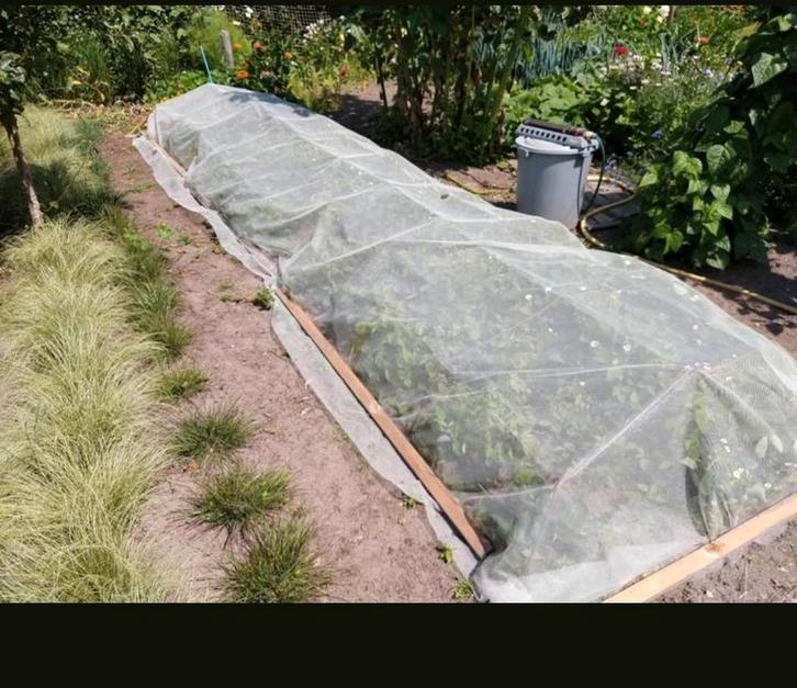 Tuin moestuin insecten gaas vogel bescherm net vogelgaas, Tuin en Terras, Bestrijdingsmiddelen, Nieuw, Ongediertebestrijding, Ophalen of Verzenden