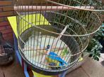 Vogelkooi, Dieren en Toebehoren, Vogels | Hokken en Kooien, Ophalen, Metaal, Vogelkooi