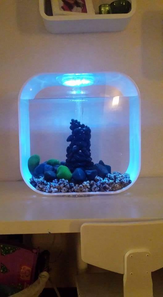 Biorb aquaruim 30L, Dieren en Toebehoren, Ophalen, Gebruikt, Leeg aquarium