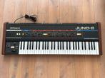 Roland Juno-6 (1983) Mint Vintage Synthesizer met koffer, 61 toetsen, Roland, Ophalen of Verzenden, Zo goed als nieuw
