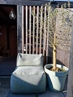 Roolf-Living Zitzak Dotty Medium Groen - Zo goed als nieuw!, Ophalen, Zo goed als nieuw, Groen, Zitzak