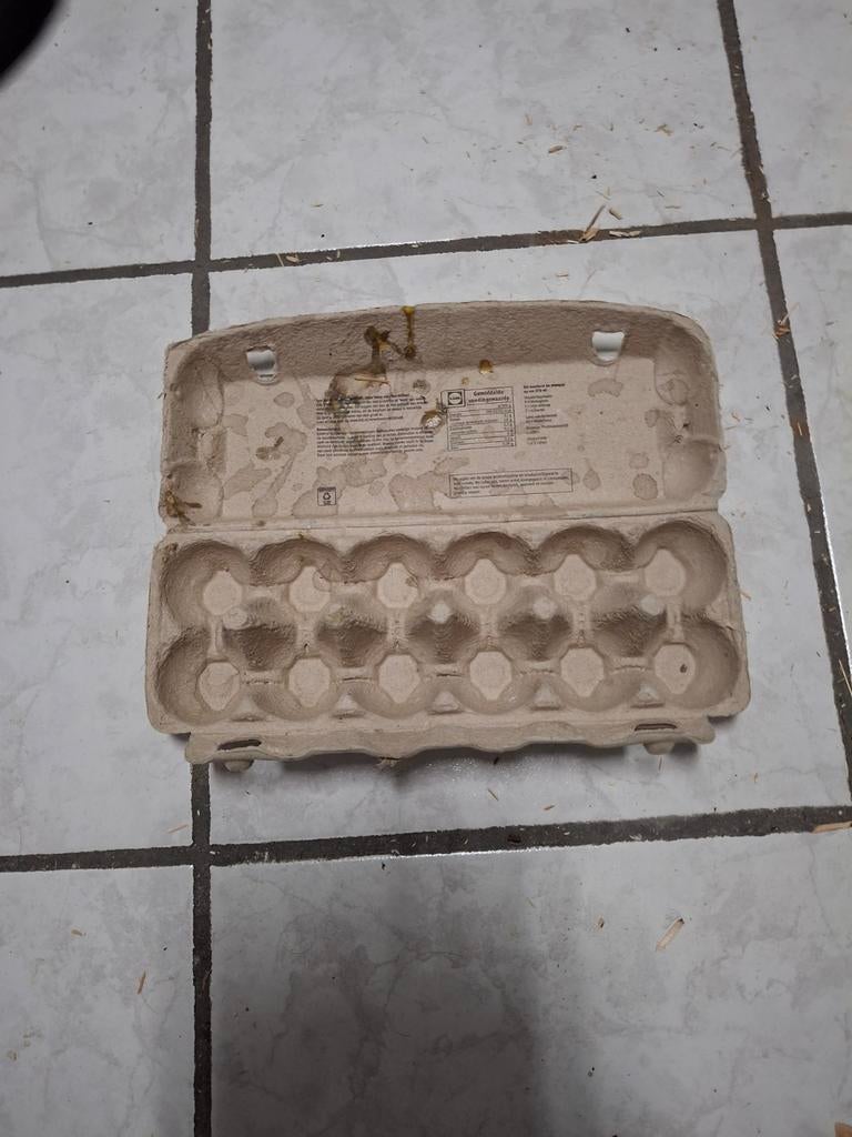 Eierdozen voor 12 eieren per doos, ook geschikt om te zaaien, Ophalen of Verzenden, Overige typen