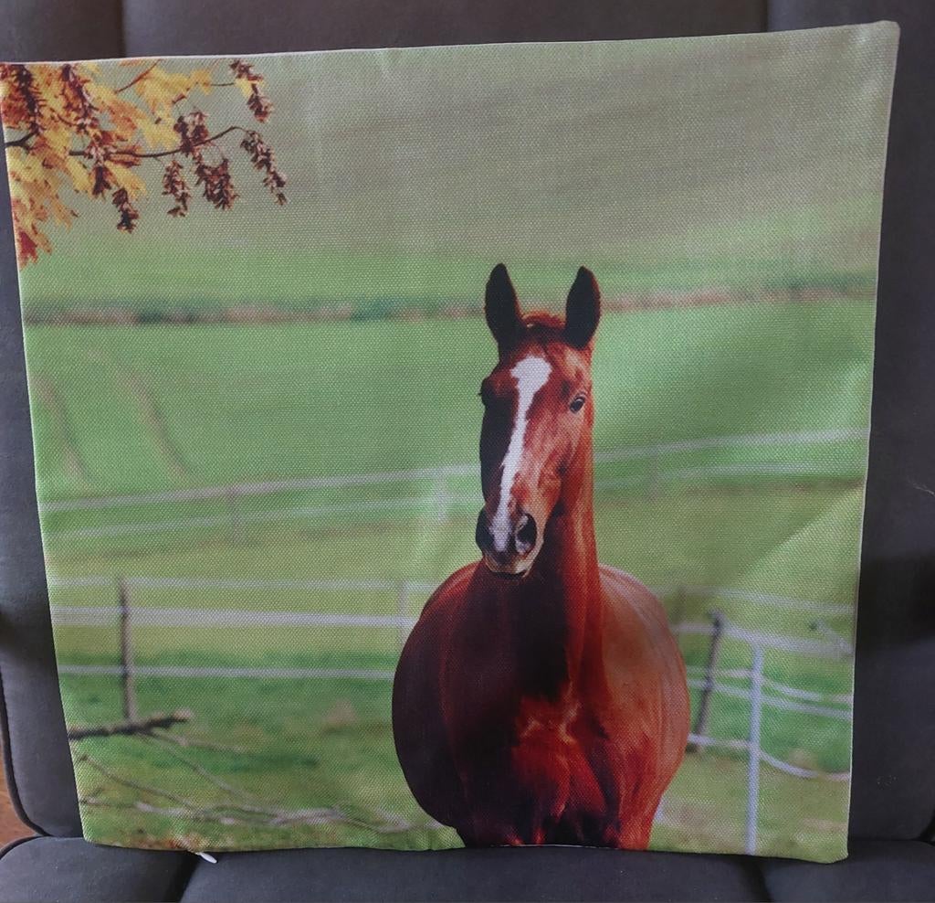 NIEUW: Kussenhoes ' paard ', Huis en Inrichting, Woonaccessoires | Kussens, Ophalen of Verzenden, Nieuw, Overige kleuren, Vierkant