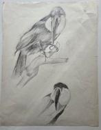 Jo Manders. Vogels. Potloodtekening. 1976., Ophalen of Verzenden