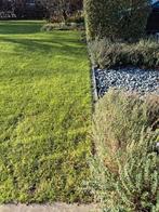 Hobbie Tuinman gevraagd Mierlo, Diensten en Vakmensen, Tuinmannen en Stratenmakers