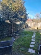 Aangeboden hondenoppas voor zomervakantie, Diensten en Vakmensen, Dieren | Honden | Verzorging, Oppas en Les