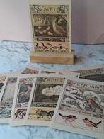 Seizoenstafel natuur maand kaarten incl. houten standaard, Verzenden, Nieuw