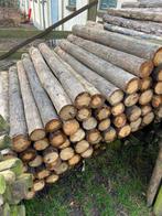 Stammen / palen 150cm lang, 10-12cm dik, Ophalen, Zo goed als nieuw, Minder dan 180 cm, Palen