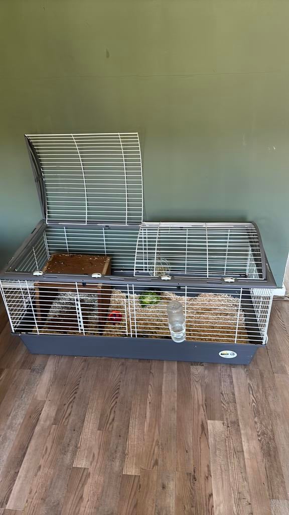 Twee grote konijnenhokken  m konijntje, Dieren en Toebehoren, Minder dan 75 cm, Zo goed als nieuw, Konijn, Hok