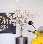 Bloesemboompjes kunst, Ophalen, Zo goed als nieuw