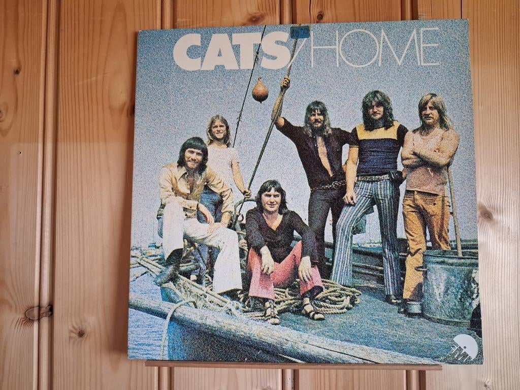 The Cats, Ophalen of Verzenden, Zo goed als nieuw, Overige formaten