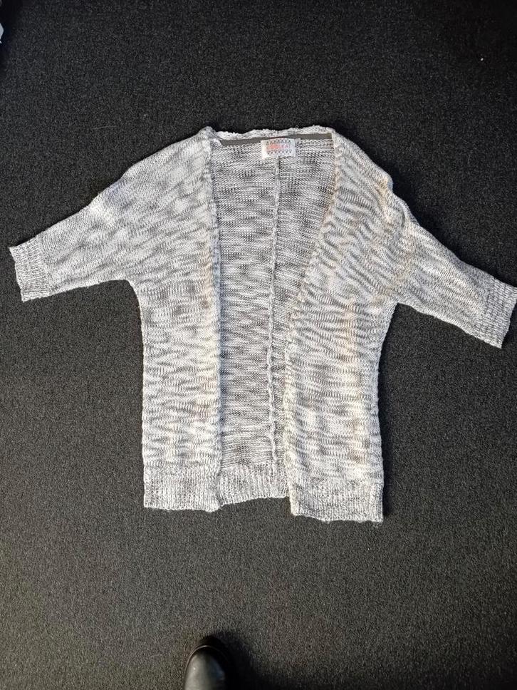 Coolcat vest maat L, 3/4 mouw, zo goed als nieuw, Kleding | Dames, Truien en Vesten, Zo goed als nieuw, Maat 42/44 (L), Grijs