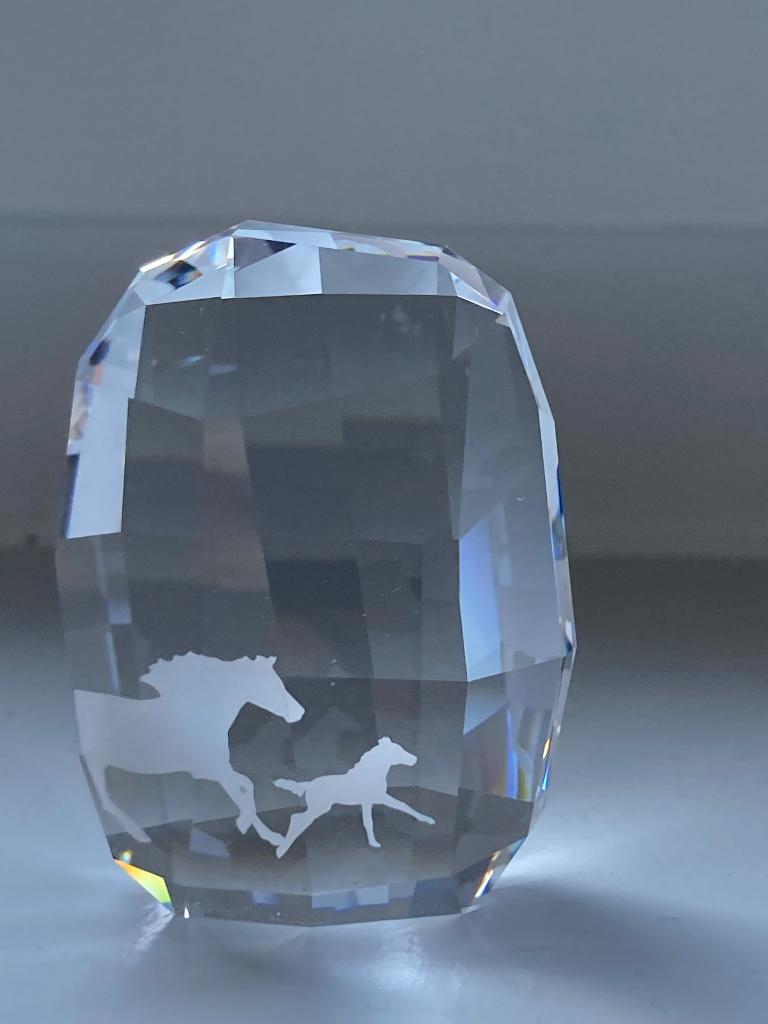Presse Papier van Swarovski met paarden, Ophalen of Verzenden, Nieuw, Figuurtje