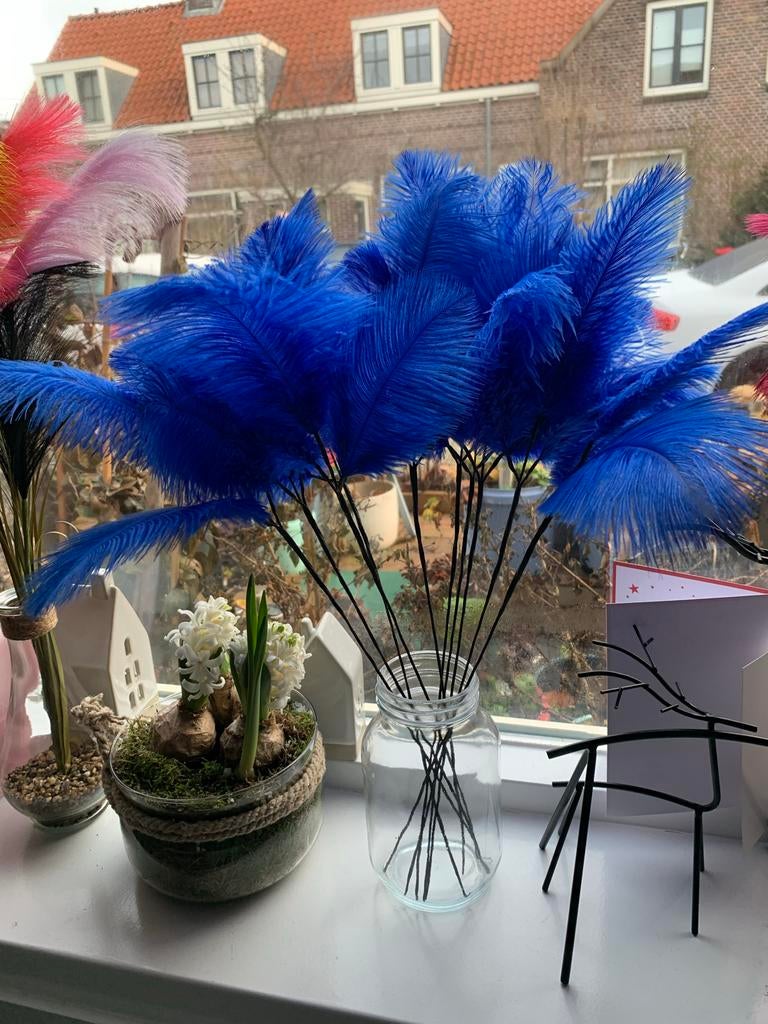 Gekleurde veren decoratie, Ophalen of Verzenden, Nieuw