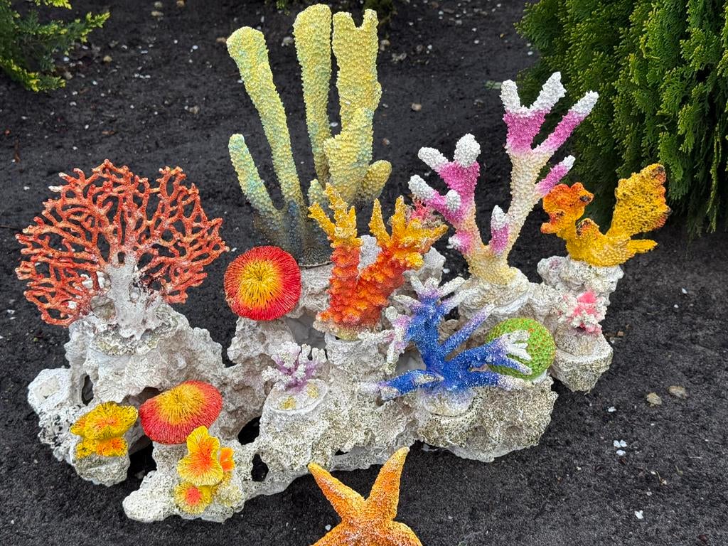 Prachtige vis rots, Ophalen of Verzenden, Zo goed als nieuw