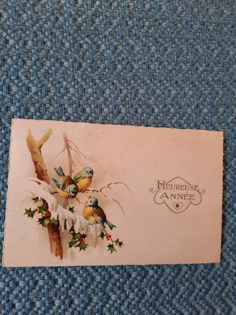Oude Nieuwjaarskaart met vogels en hulst, gestempeld, Ophalen of Verzenden