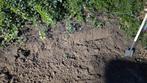 Gratis af te halen grond, Tuin en Terras, Ophalen, Tuinaarde